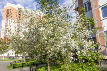 Similar image 5561097