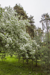 Similar image 5561096