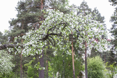 Similar image 5561098