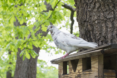 Similar image 5561100