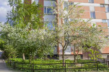 Similar image 5561101