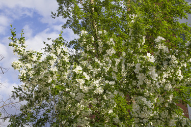 Similar image 5561104