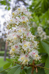 Similar image 5561103