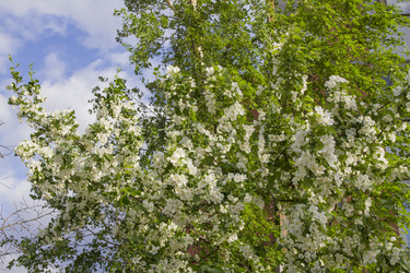 Similar image 5561106