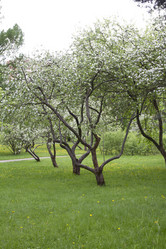 Similar image 5561105