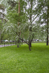 Similar image 5561107