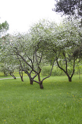 Similar image 5561110