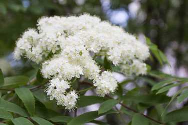 Similar image 5561111