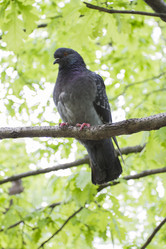 Similar image 5561112