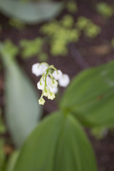 Similar image 5561114