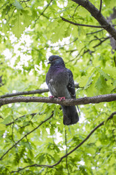 Similar image 5561113