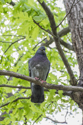 Similar image 5561115