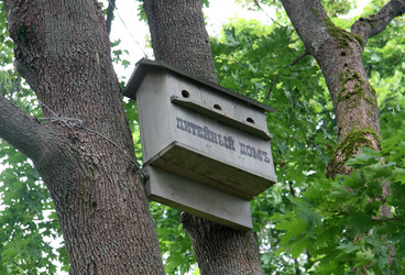 Similar image 5561141