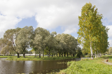 Similar image 5561185