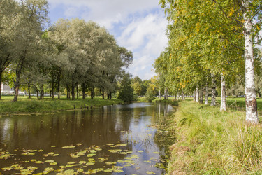 Similar image 5561188