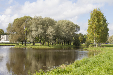 Similar image 5561191