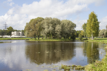 Similar image 5561192