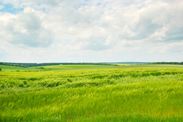 Similar image 5561199