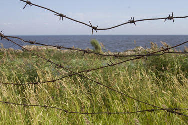 Similar image 5561207