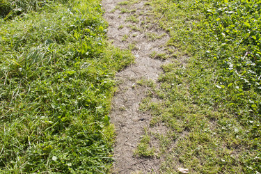 Similar image 5561214