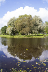 Similar image 5561220