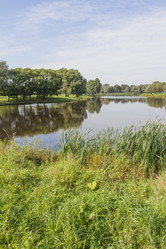 Similar image 5561226