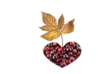 Similar image 5561369