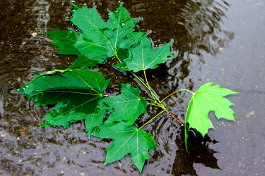 Similar image 5561390