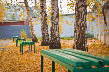 Similar image 5561409