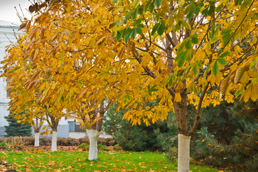 Similar image 5561411