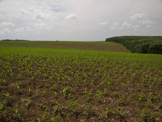 Similar image 5561431