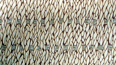 Similar image 5561449