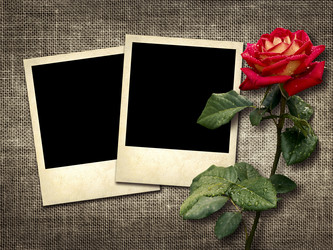 Similar image 5561480