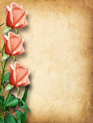 Similar image 5561485