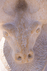 Similar image 5561491