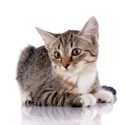 Similar image 5561521