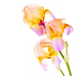 Similar image 5561532