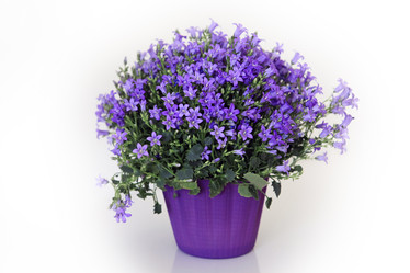 Similar image 5561539