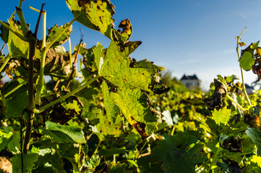 Similar image 5561579