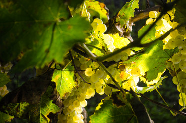 Similar image 5561580