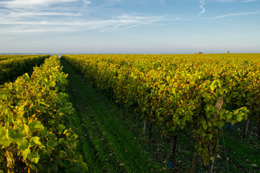 Similar image 5561581