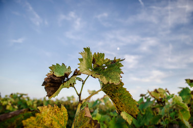 Similar image 5561582