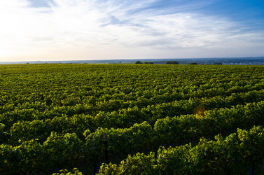 Similar image 5561583