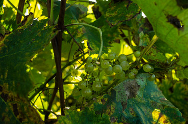 Similar image 5561585