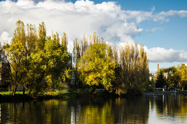 Similar image 5561586