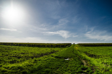 Similar image 5561588