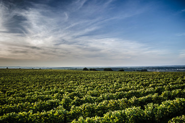 Similar image 5561590