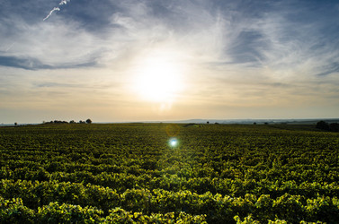 Similar image 5561591