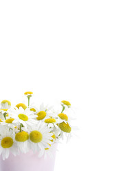 Similar image 5561624