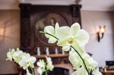 Similar image 5561631